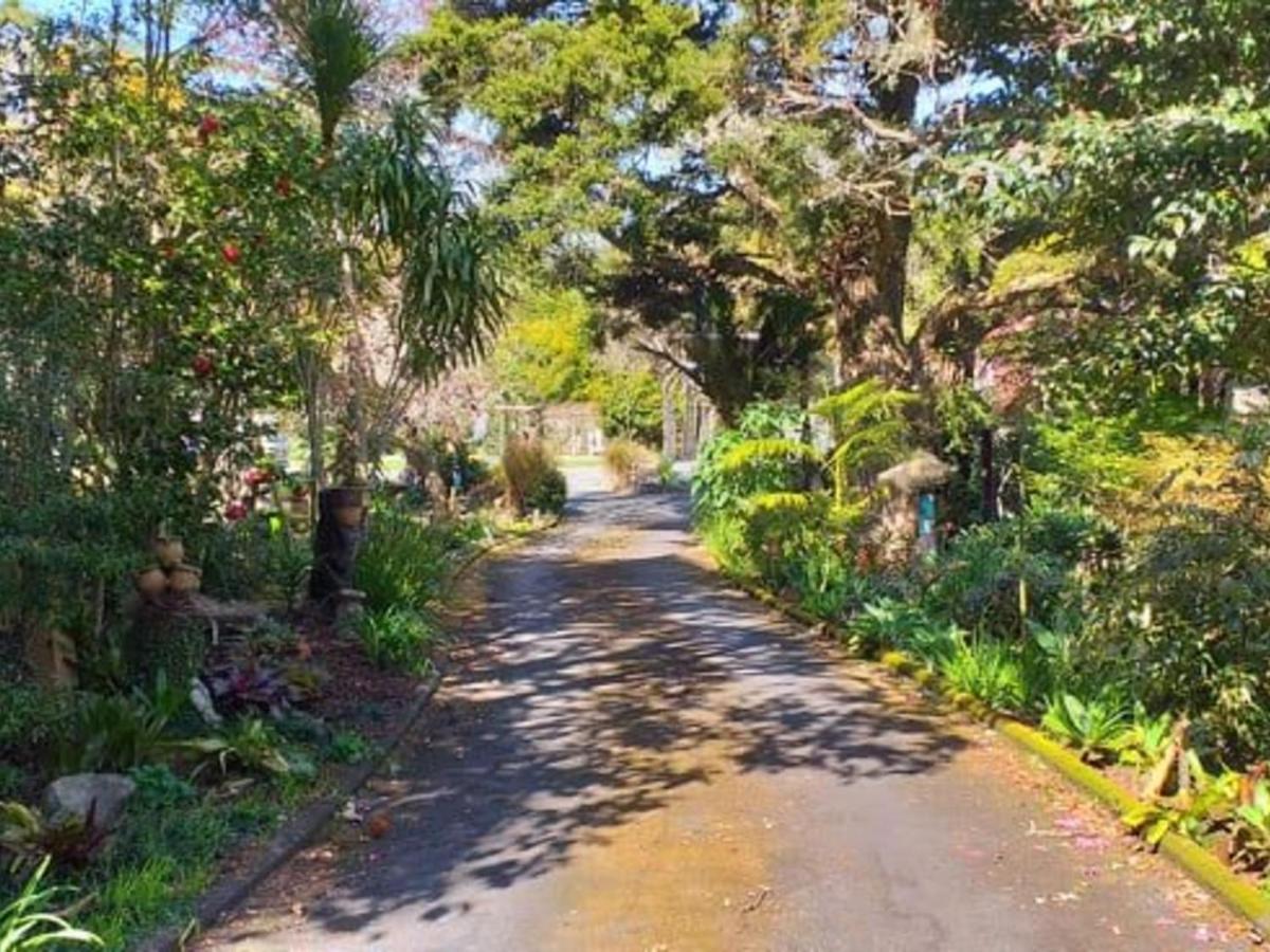 Waimoana Garden Accommodation Whangarei Exterior photo